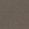 Shaw Floors Carpet Trusplendor City Scape 00511_5E464