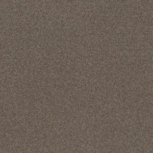 Shaw Floors Carpet Trusplendor City Scape 00511_5E464