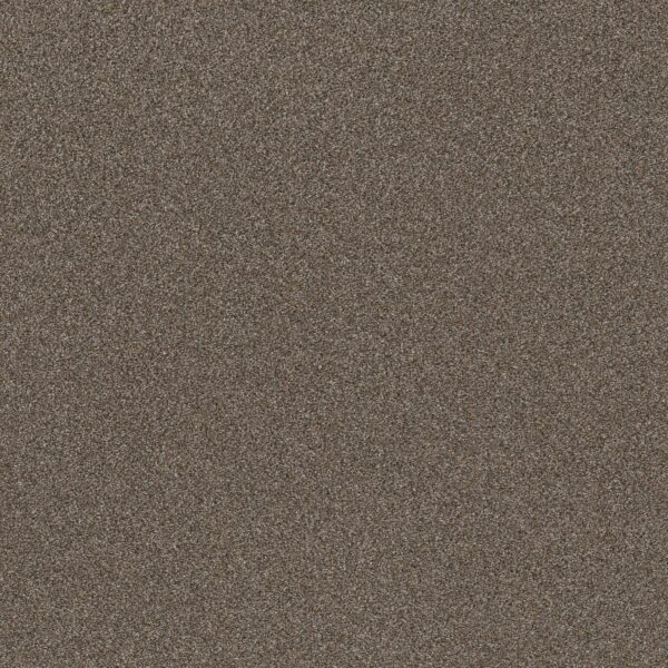 Shaw Floors Carpet Trusplendor City Scape 00511_5E464