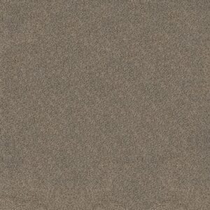 Shaw Floors Carpet Trusplendor Truffle 00701_5E464