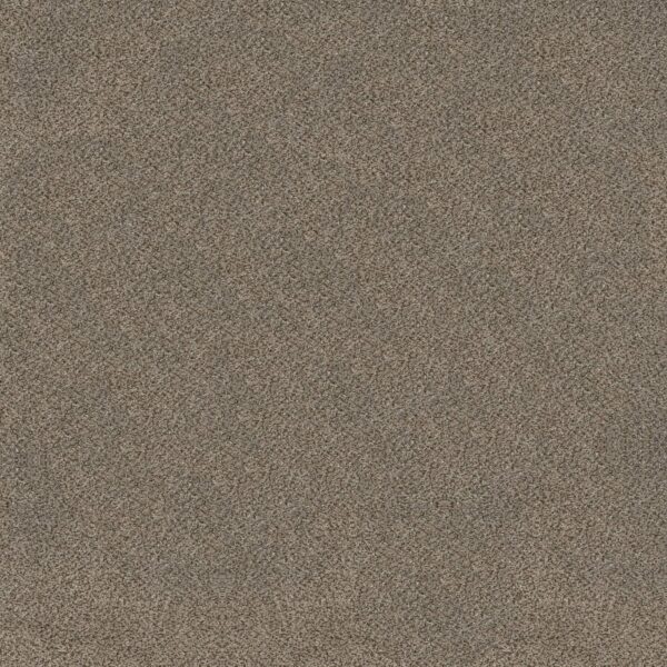 Shaw Floors Carpet Trusplendor Truffle 00701_5E464