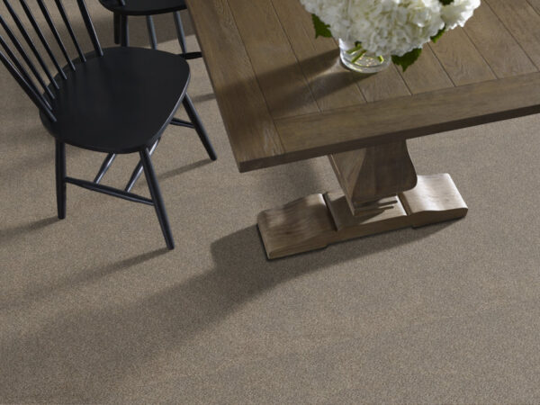 Shaw Floors Carpet Trusplendor Truffle 00701_5E464 - Image 2