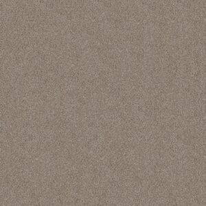Shaw Floors Carpet Trusplendor Timeless Tan 00704_5E464