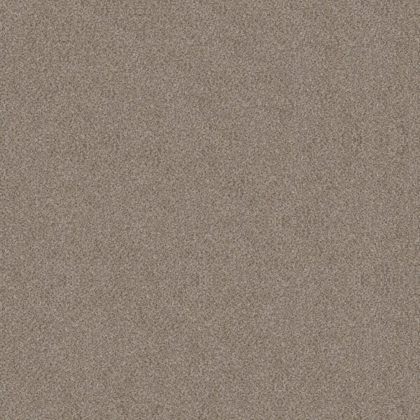 Shaw Floors Carpet Trusplendor Timeless Tan 00704_5E464