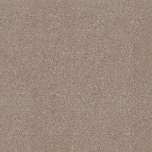 Shaw Floors Carpet Trusplendor Cottage 00705_5E464