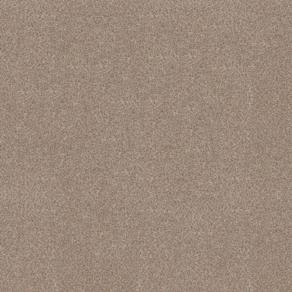 Shaw Floors Carpet Trusplendor Cottage 00705_5E464
