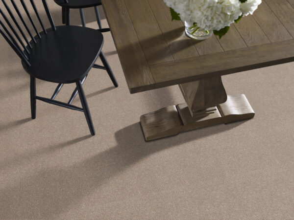 Shaw Floors Carpet Trusplendor Cottage 00705_5E464 - Image 2