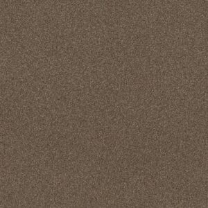 Shaw Floors Carpet Trusplendor Chestnut 00707_5E464