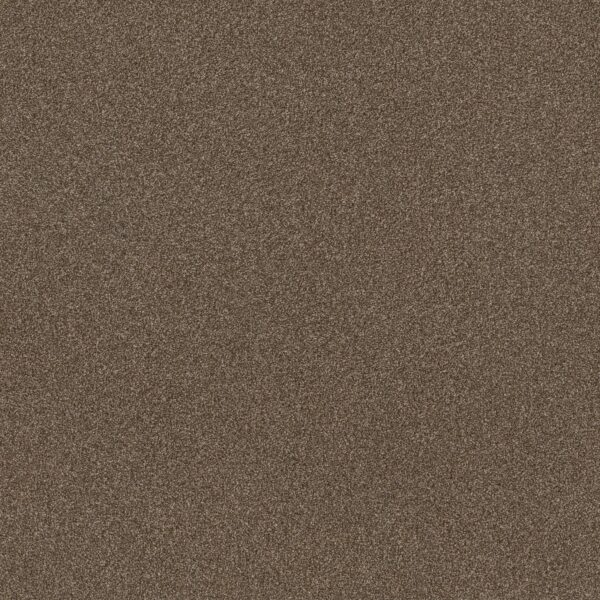 Shaw Floors Carpet Trusplendor Chestnut 00707_5E464