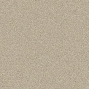 Shaw Floors Carpet You Got This I Natural 00109_5E560