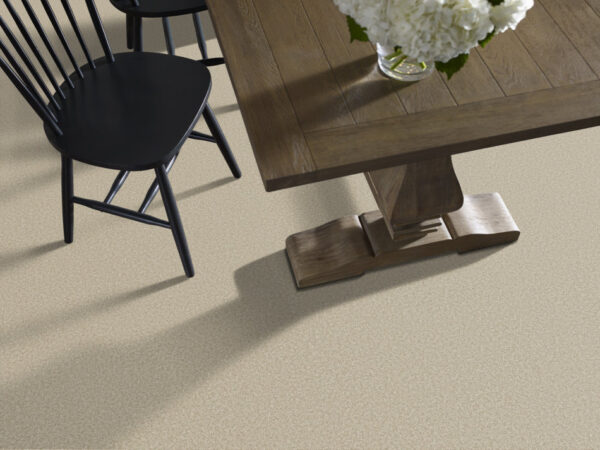 Shaw Floors Carpet You Got This I Natural 00109_5E560 - Image 2