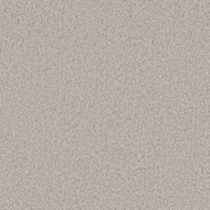 Shaw Floors Carpet You Got This I Chic Greige 00111_5E560