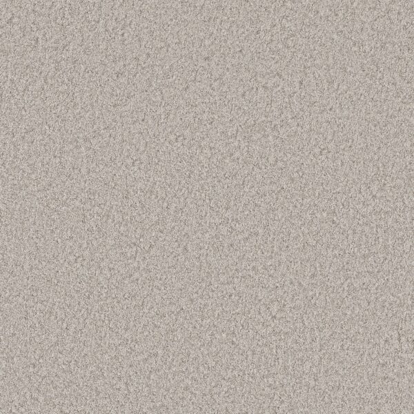 Shaw Floors Carpet You Got This I Chic Greige 00111_5E560