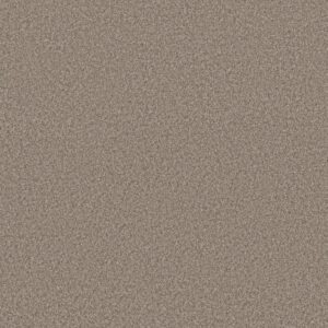 Shaw Floors Carpet You Got This I Cameo 00113_5E560