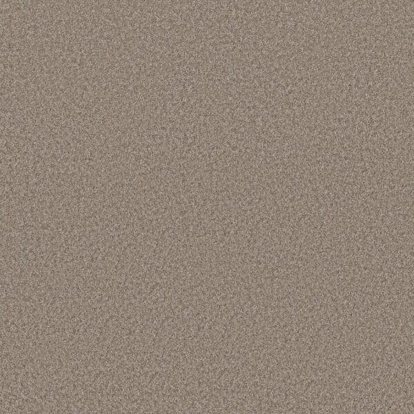 Shaw Floors Carpet You Got This I Cameo 00113_5E560