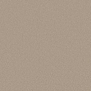 Shaw Floors Carpet You Got This I Subtle Clay 00114_5E560