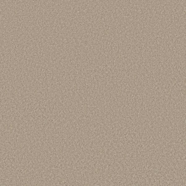 Shaw Floors Carpet You Got This I Subtle Clay 00114_5E560