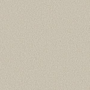 Shaw Floors Carpet You Got This I Warm Light 00116_5E560