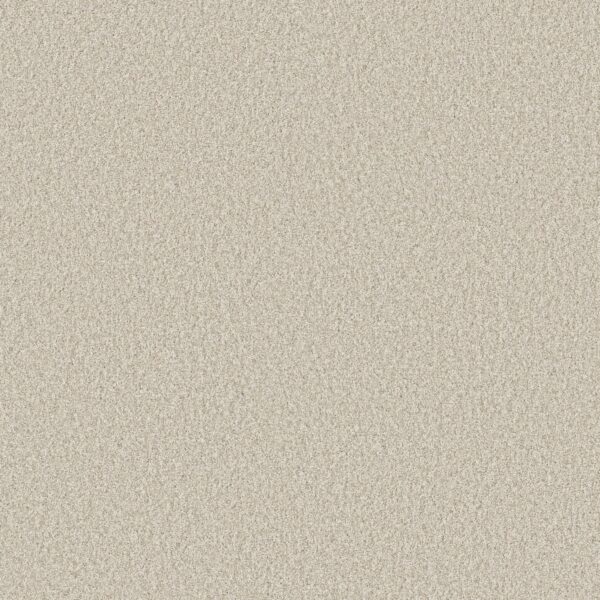 Shaw Floors Carpet You Got This I Warm Light 00116_5E560