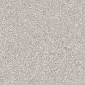 Shaw Floors Carpet You Got This I Whitecap 00155_5E560