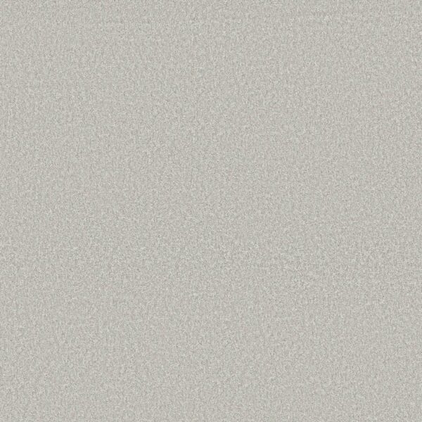 Shaw Floors Carpet You Got This I Whitecap 00155_5E560