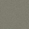 Shaw Floors Carpet You Got This I Rerooted Nature 00300_5E560