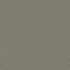 Shaw Floors Carpet You Got This I Rerooted Nature 00300_5E560