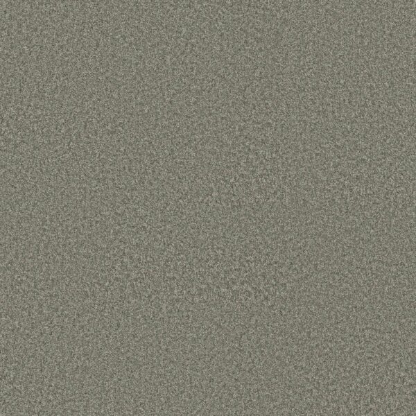 Shaw Floors Carpet You Got This I Rerooted Nature 00300_5E560