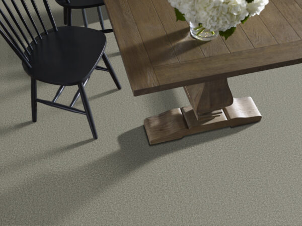 Shaw Floors Carpet You Got This I Rerooted Nature 00300_5E560 - Image 2