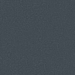Shaw Floors Carpet You Got This I Refined 00402_5E560