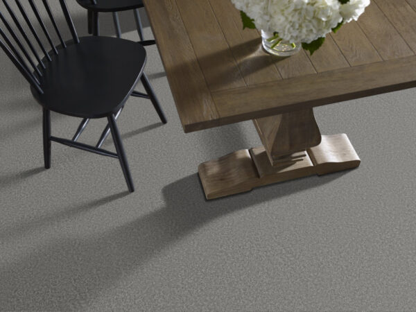 Shaw Floors Carpet You Got This I Ashes 00501_5E560 - Image 2