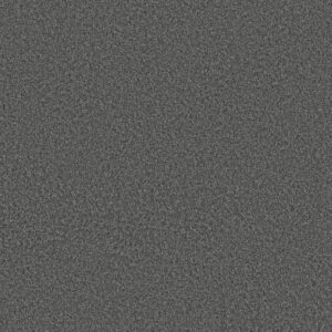 Shaw Floors Carpet You Got This I Shadow 00502_5E560