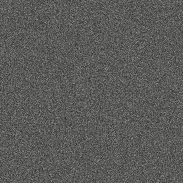 Shaw Floors Carpet You Got This I Shadow 00502_5E560