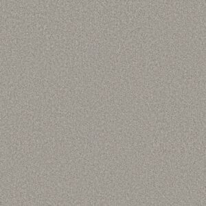 Shaw Floors Carpet You Got This I Rock Crystal 00508_5E560