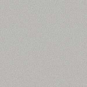 Shaw Floors Carpet You Got This I Lilac Gray 00550_5E560