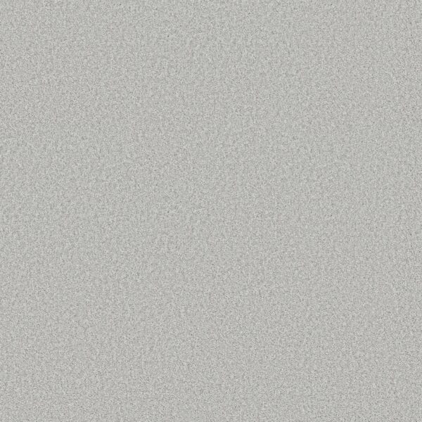 Shaw Floors Carpet You Got This I Lilac Gray 00550_5E560