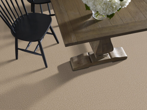Shaw Floors Carpet You Got This I Worn Path 00700_5E560 - Image 2