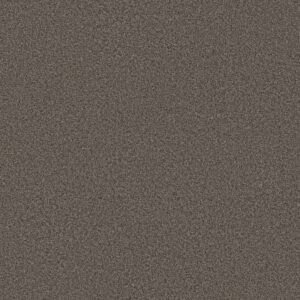 Shaw Floors Carpet You Got This I Urban Rustic 00708_5E560