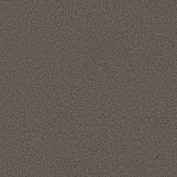 Shaw Floors Carpet You Got This I Urban Rustic 00708_5E560