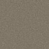 Shaw Floors Carpet You Got This I Cobblestone 00750_5E560