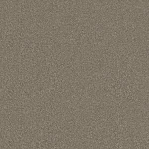 Shaw Floors Carpet You Got This I Cobblestone 00750_5E560