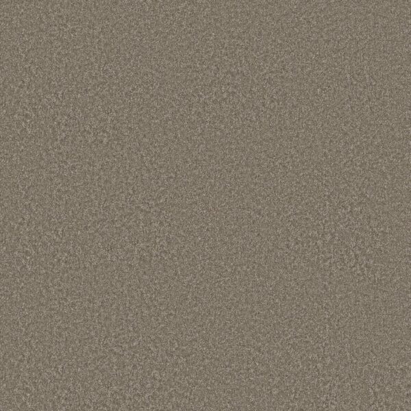 Shaw Floors Carpet You Got This I Cobblestone 00750_5E560