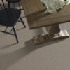 Shaw Floors Carpet You Got This I Cobblestone 00750_5E560 - Image 2