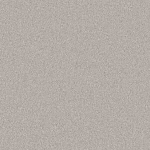 Shaw Floors Carpet You Got This II Frozen 00107_5E561