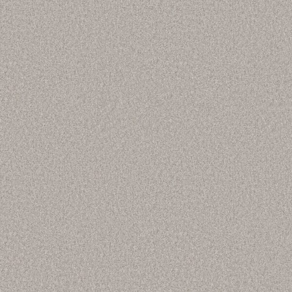 Shaw Floors Carpet You Got This II Frozen 00107_5E561