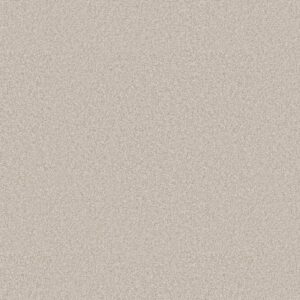 Shaw Floors Carpet You Got This II Warm Light 00116_5E561