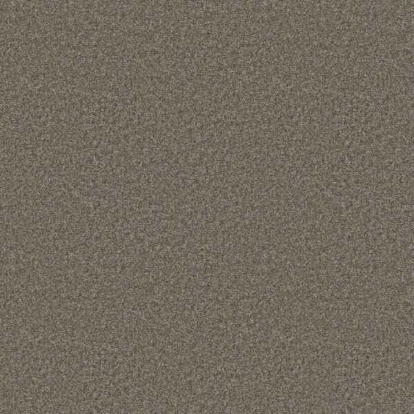 Shaw Floors Carpet You Got This II Rerooted Nature 00300_5E561