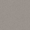 Shaw Floors Carpet You Got This II Rock Crystal 00508_5E561