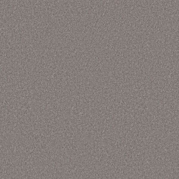 Shaw Floors Carpet You Got This II Vintage 00509_5E561