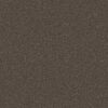 Shaw Floors Carpet You Got This II Urban Rustic 00708_5E561